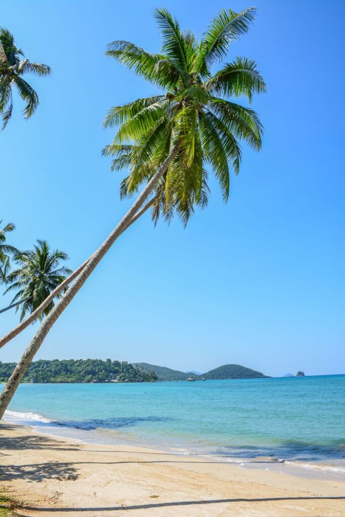 Idyllic palm-lined beach on Ko Mak Island, Trat, Thailand, with crystal clear water and blue sky.