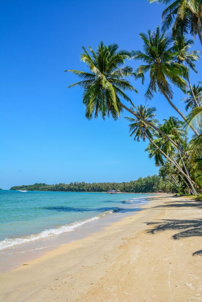Scenic view of Ko Mak beach with palm trees and clear blue sea, perfect for a tropical getaway.